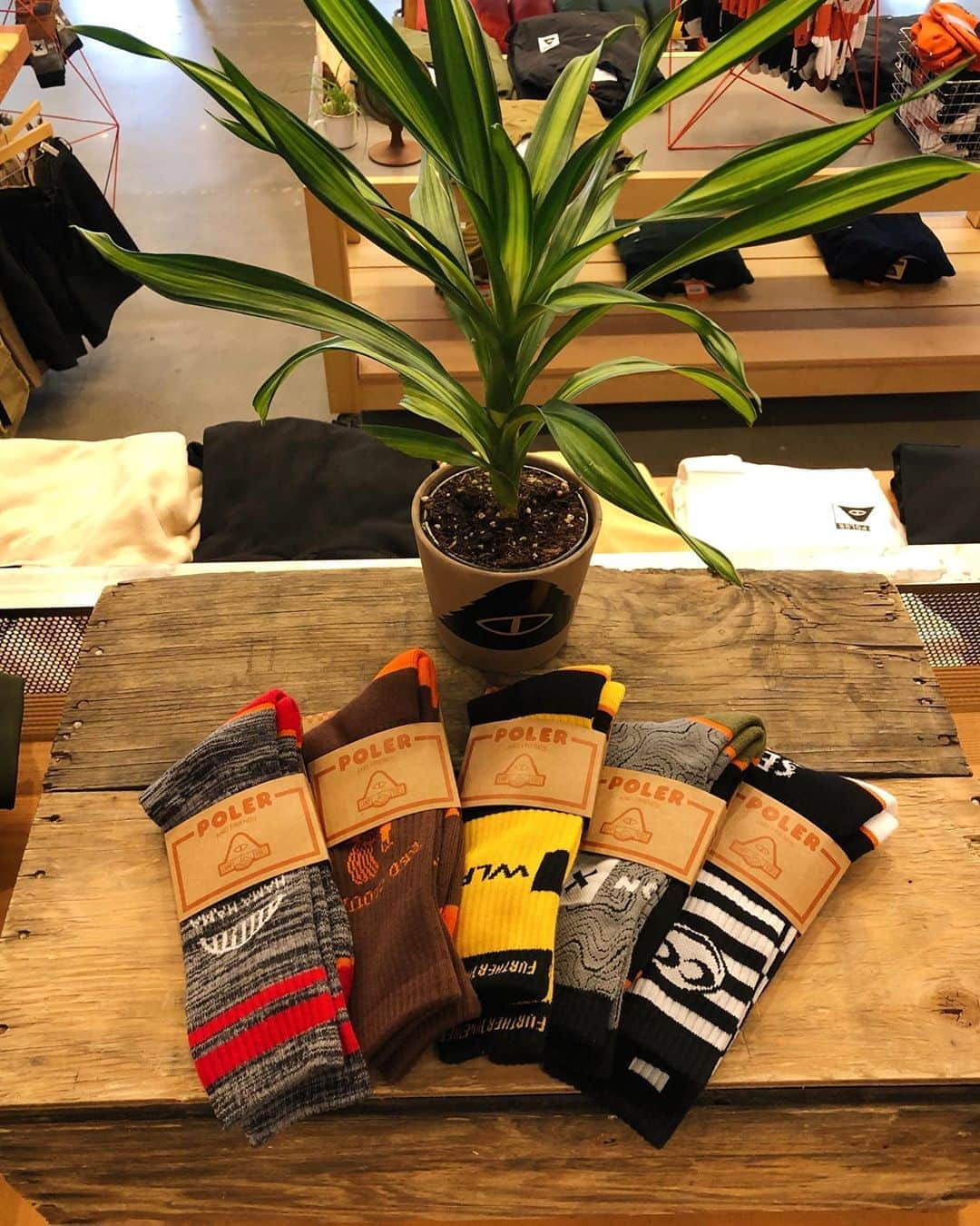 Poler Outdoor Stuffさんのインスタグラム写真 - (Poler Outdoor StuffInstagram)「Wear socks with your friends! @hamahamaoysters @redcloudscollective @wlfenduro @onxoffroad @seeseemotorcycles」9月4日 3時22分 - polerportland