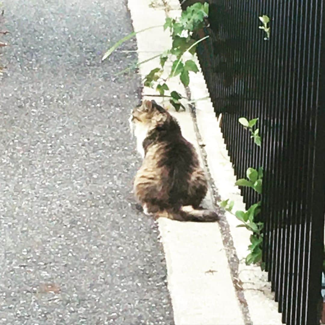 熊木翔のインスタグラム：「だるまさんが転んだ ｯﾀﾞ」