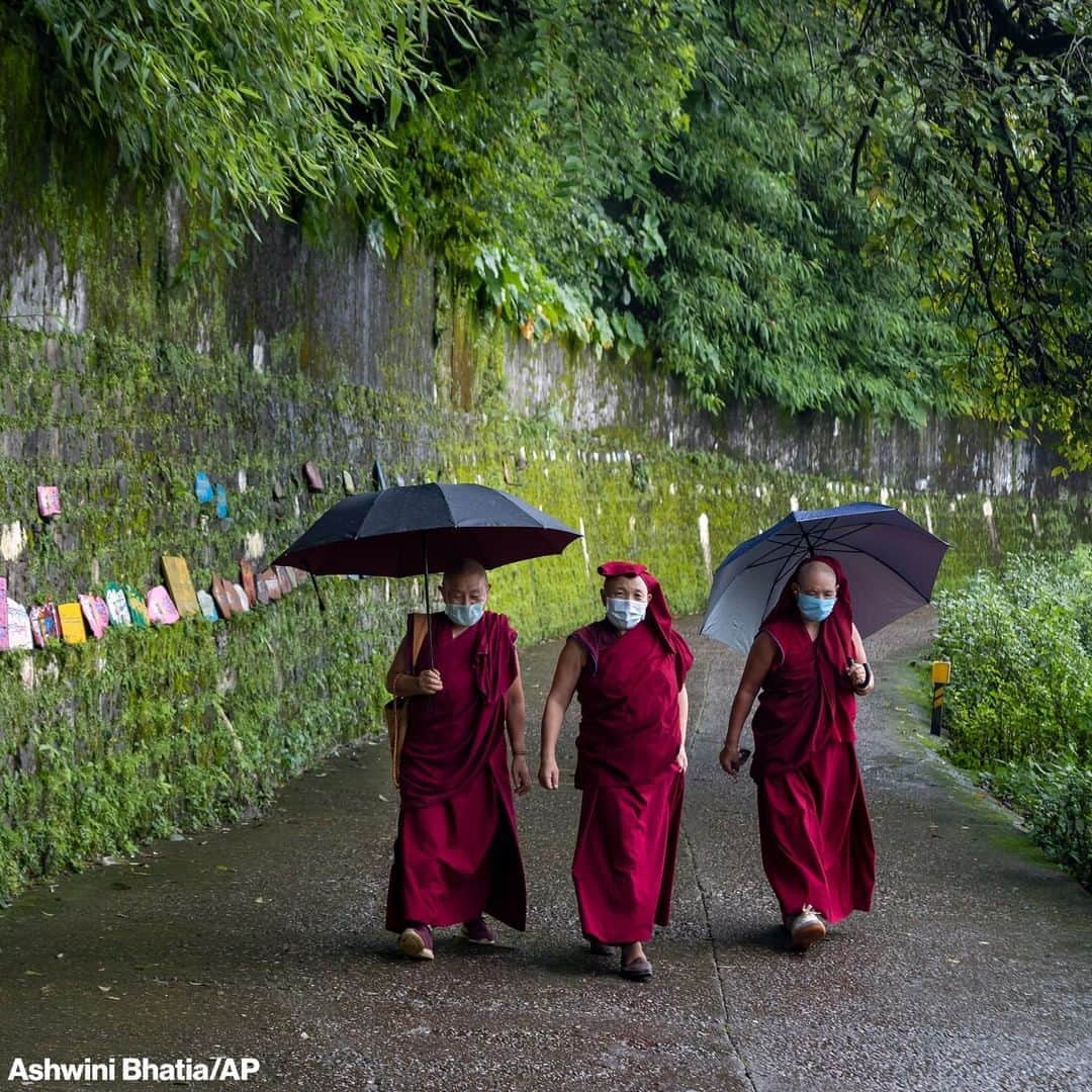 ABC Newsさんのインスタグラム写真 - (ABC NewsInstagram)「Exiled Tibetan Buddhist nuns wear masks as a precaution against the coronavirus at the residence of their spiritual leader the Dalai Lama in Dharamsala, India.」9月4日 14時01分 - abcnews