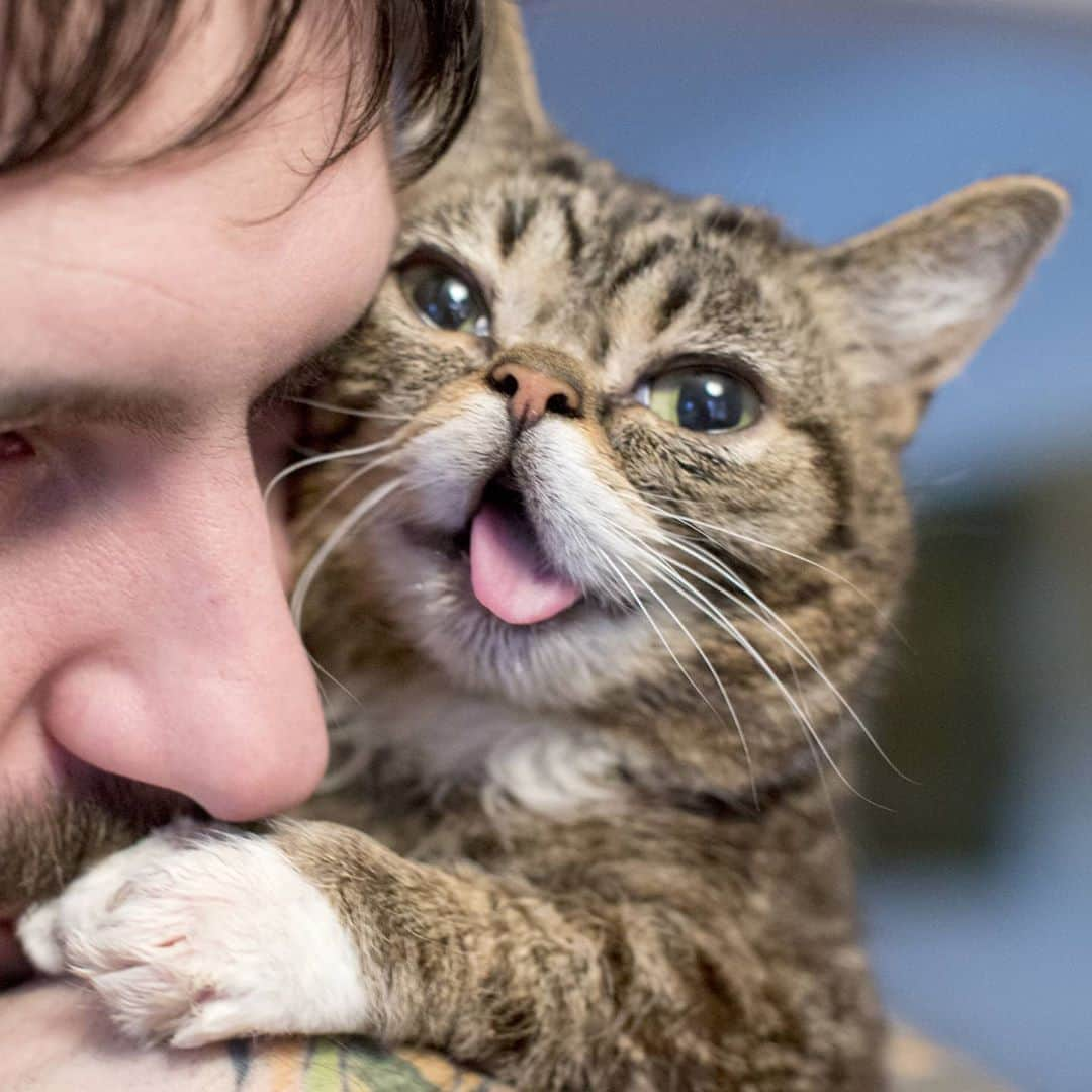 Lil BUBさんのインスタグラム写真 - (Lil BUBInstagram)「Happy GOOD JOB BUB DAY everybody. She's still out there sending us that one-of-a-kind space magic. #goodjobbub #lilbub #thanksbub」9月4日 6時46分 - iamlilbub