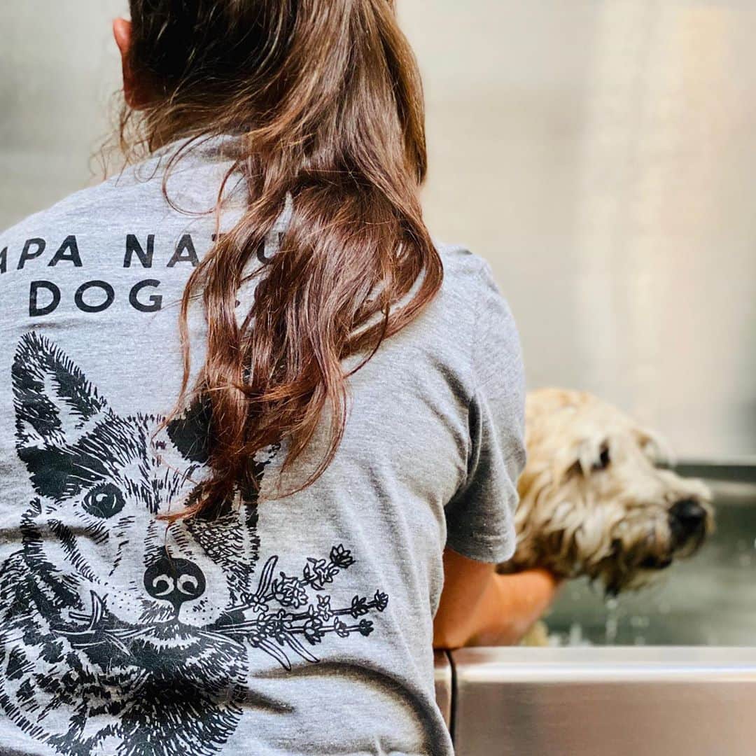 Dogs by Ginaのインスタグラム：「Loving our new team members as much as these new shirts ☀️🙌🏼 #barknatural」