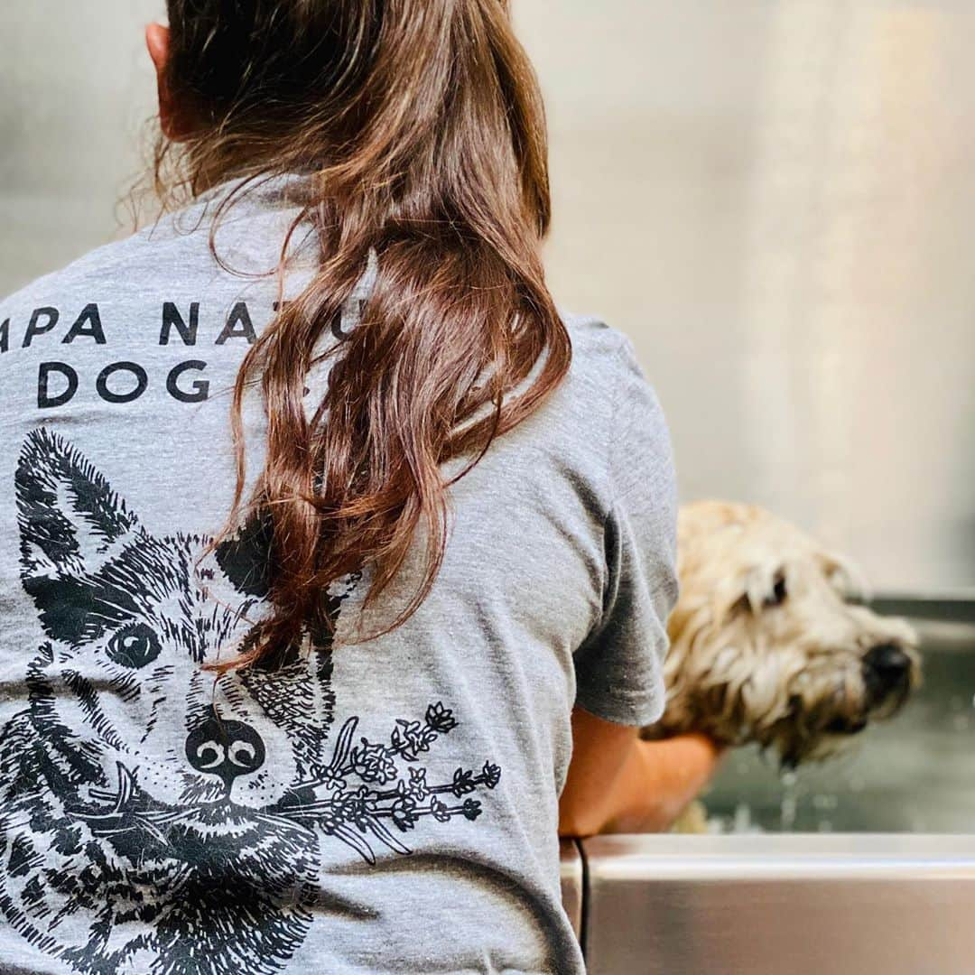 Dogs by Ginaさんのインスタグラム写真 - (Dogs by GinaInstagram)「Loving our new team members as much as these new shirts ☀️🙌🏼 #barknatural」9月4日 6時58分 - napanatural.dogco