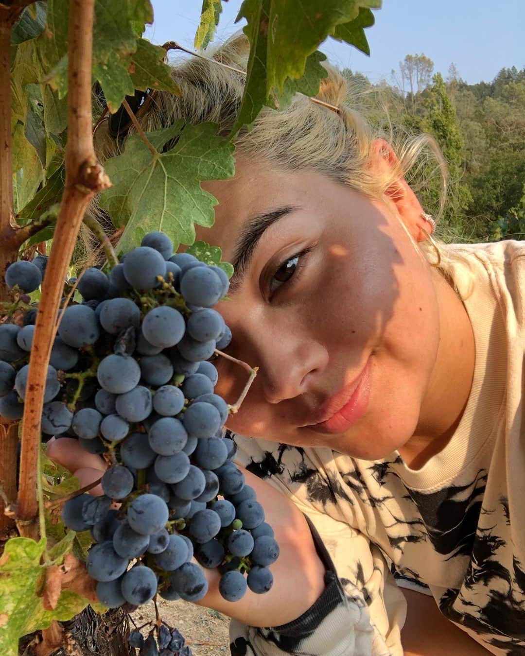 のインスタグラム：「I won’t drink em but I’ll eat em」