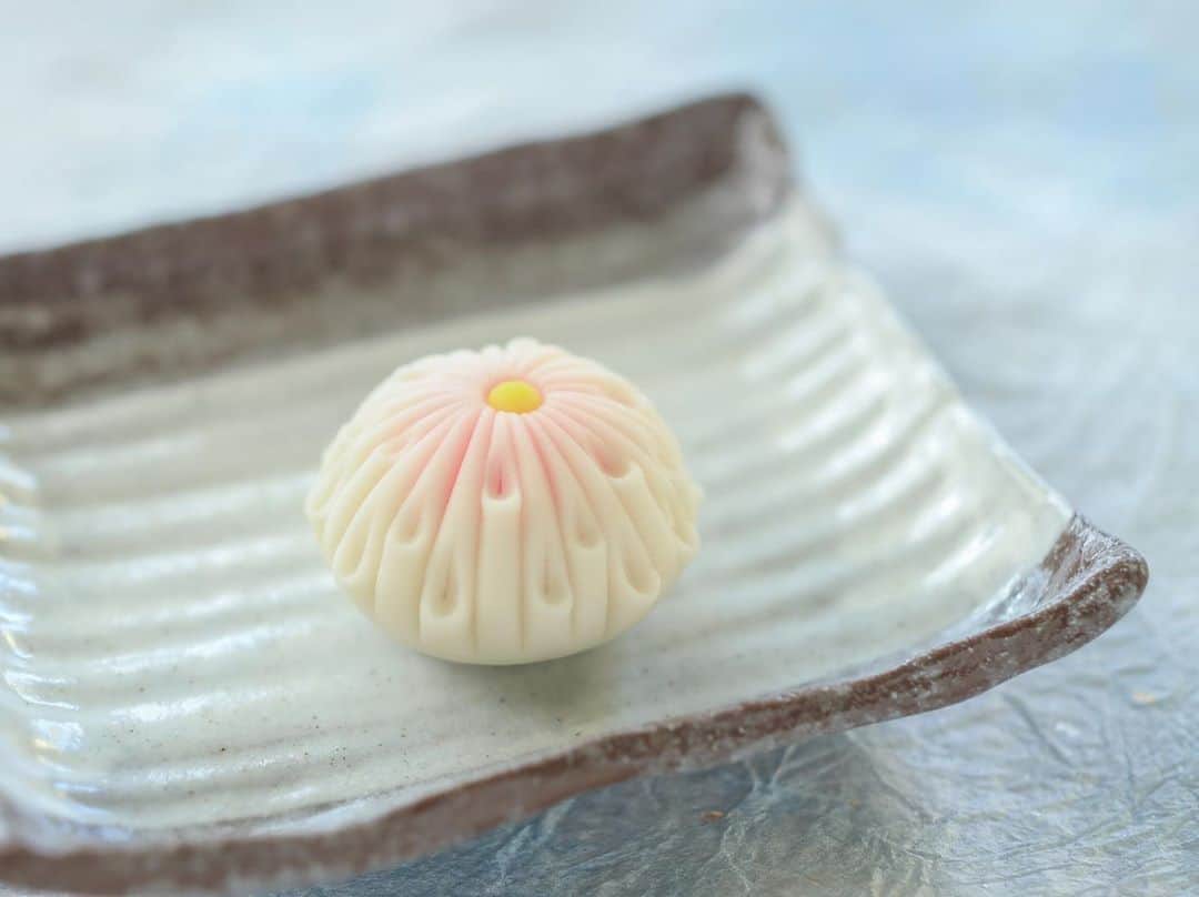 Toru Tsuchieさんのインスタグラム写真 - (Toru TsuchieInstagram)「今日の和菓子はねりきりで作った #乱菊 です。 ねりきりとは白餡に餅や芋を混ぜて作った和菓子で 茶道 で使われる「主菓子」の一種です。 撮影 用に製作しました。  早々と桜餅用の葉っぱの注文をしました。 例年早々と注文するのですが どうやら今年は気象条件が悪く桜の葉が不足しているみたいです。 元々生産者さんが減っていて年々値上がりするのですが 今年はさらに値上げみたいです。 という事で来年、桜餅を値上げするかもしれません。 大手の原料メーカーさんにはなるべく値上げして欲しく無いですが 小さい事業所のメーカーさんの値上げには快く承諾する事にしています。 だってそれは我々が売値に上乗せしてお客さんからいただけば解決するのですから。 気が向いたら続きは明日書きます。  フェイスブックページのいいね！もよろしくお願いします。 https://www.facebook.com/shishisu/ I would like a job request from you. Today's wagashi is #chrysanthemum with Nerikiri. The Nerikiri is the material of wagashi made by mixing the rice cake and yam in white bean. Is a kind of "Jounamagashi" as used in the tea ceremony. The sweets I've made for the shooting. #福泉堂  #和菓子  #出雲 #桜餅 #ねりきり  #値上げ #さじ加減 #葉っぱ #art #sweets #拘り #菊」9月4日 7時18分 - choppe_tt