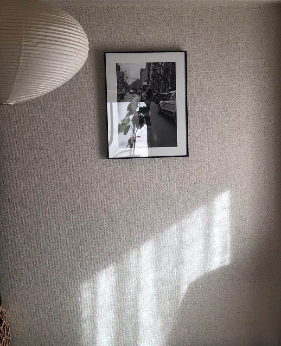 のインスタグラム：「🦓」