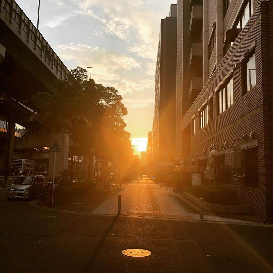 橋本塁さんのインスタグラム写真 - (橋本塁Instagram)「おはようございます！10km朝ラン終了！今日も快晴で暑くて走りやすかったです！ 心身共に健康で STINGRAY大阪2日目！11-21時。  #stingrun #朝ラン #玉ラン #adidas #adidasultraboost  #run #running #ランニング　#心身ともに健康に　#大阪　#心斎橋」9月4日 7時31分 - ruihashimoto