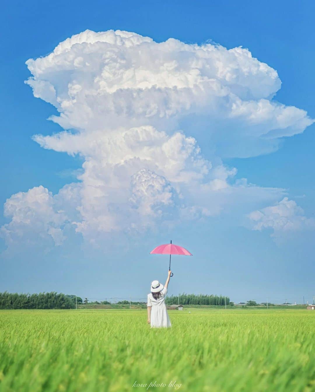 のインスタグラム：「大きくなった入道雲はあっという間に形が崩れてしまいますね🤔 これも理想的な形してたのですが、あれこれしている間に崩れ始めました😅 . Location:滋賀 Shiga / Japan🇯🇵 Date:2020年8月 . #TandDフォトコンテスト2020 #discover #今こそ写真でつながろう #パワーフォト部  #しがトコ #art_of_japan_ #tokyocameraclub #dpj_member  #ポトレ撮影隊 #screen_archive #good_portraits_world #HUEART_life #jp_portrait部 #jp_mood #reco_ig #season_girls_collection #IG_PHOS #photo_jpn #ptk_japan #pt_life_ #bestjapanpics #sorakataphoto #LBJ_Legend #s_shot #IGersJP #special_spot_legend #広がり同盟メンバー #Japan_Daytime_View #japan_of_insta #ap_japan_」