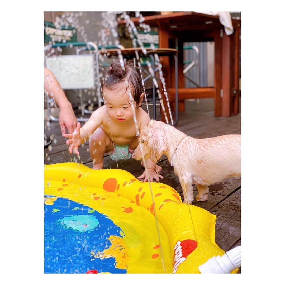 のインスタグラム：「じーじばーばの孫への至れり尽くせりがすごい🤣 プールが用意されてました⛲️💙 実家の🐶の神楽はもう9歳。まだまだ元気で一緒に水浴び♪ ・ ・  #お家プール #水遊び #水浴び #おやばか部  #親バカ  #１歳  #1歳  #1yearsold #女の子ベビー #女の子コーデ #新米ママ #女の子のママ #女の子ママ  #赤ちゃんのいる暮らし #赤ちゃんのいる生活 #ままのて #ベビーグラム  #赤ちゃんとママ  #ベビー #親バカ部　　#成長記録　#育児記録  #コドモノ #ママリ #ベビライフ #ベビメモリ  #ベビスタグラム #ママカメラ #ベビフル」