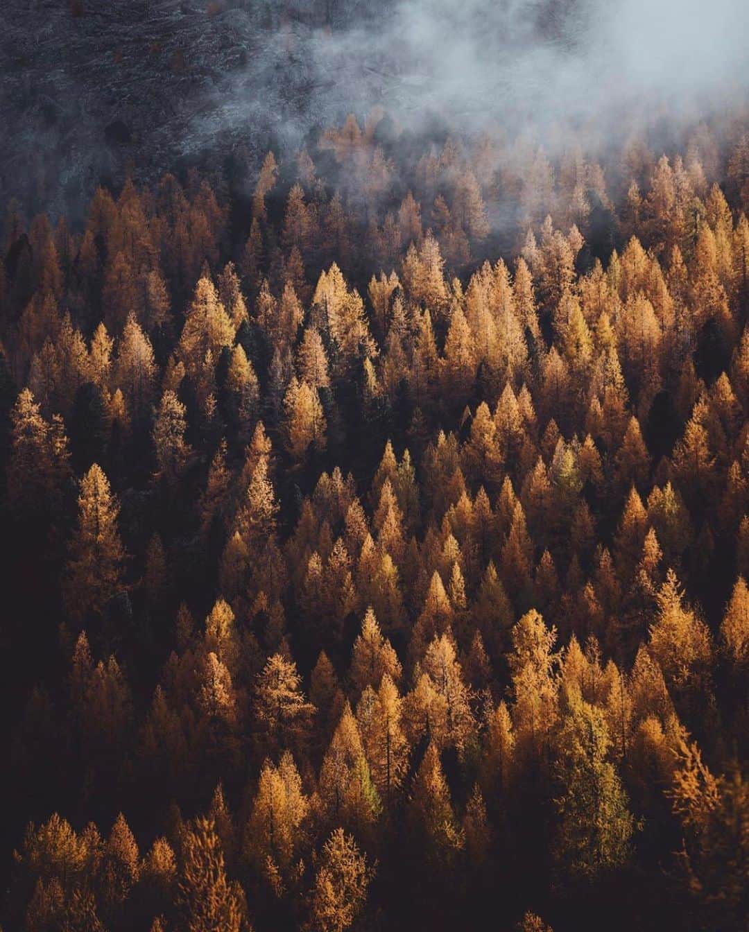 FOLKのインスタグラム：「Today’s favorites. Which one is yours? 1.) @elivosk 2.) @jguzmannn 3.) @lucychampion 4.) @guerelsahin 5.) @rivryan_photography 6.) @thekitchenmccabe」