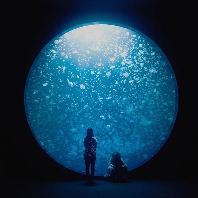 山中崇のインスタグラム：「「宇宙でいちばんあかるい屋根」本日より公開です。劇場で、よろしければご覧ください。  "ひとりじゃいられなくて 　でもひとりになりたくて 大丈夫　いつか見せるから　あなたの愛を”」