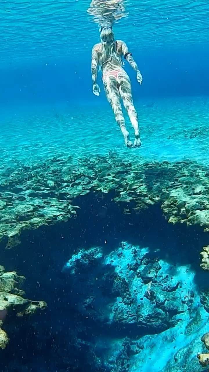 フェリシティー・パルマティアーのインスタグラム：「The ocean is my biggest inspiration and the biggest reflection of myself. No matter what I’m feeling it always mirrors it and generally magnifies it. This day was complete clarity & gratitude 🙏🏽 #reels #instagramreels」