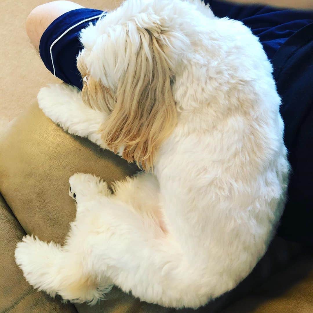 北山陽一のインスタグラム：「撮るの難しかった（指入った……）#きたやまおもち」