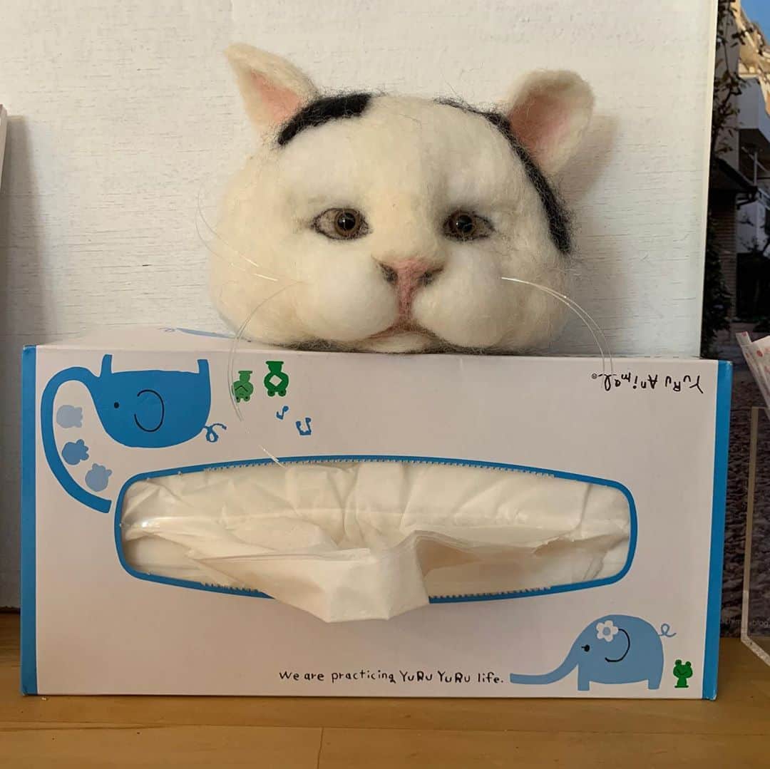 Kachimo Yoshimatsuのグルメインスタ