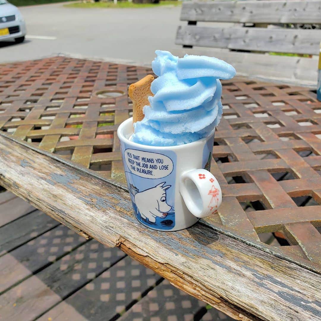 広村美つ美のインスタグラム：「. 今年は本当に暑すぎて 子供たちはアイスを食べる機会が 沢山あったような気がします🍨 とある日、たまたま立ち寄ったムーミンショップ🌛アイスが販売されていて、なんとアイスを入れているマグカップは持ち帰れるとのことでウキウキしながらカップを選んで持ち帰りました。今はこのカップにりんごジュースを入れたり、お茶を入れたり。 2020年、夏の思い出の品が1つ増えて嬉しい🤗 . #ムーミン #アイス #マグカップ #可愛い #北欧 #ソフトクリーム #夏 #夏休み #2020 #猛暑 #子供達 #息子 #娘 #おやつ #ソーダ味 #バニラアイス #🍨 #思い出 #family #家族 #ぶらり #ドライブ #スナフキン #ミー #ニョロニョロ #❤」