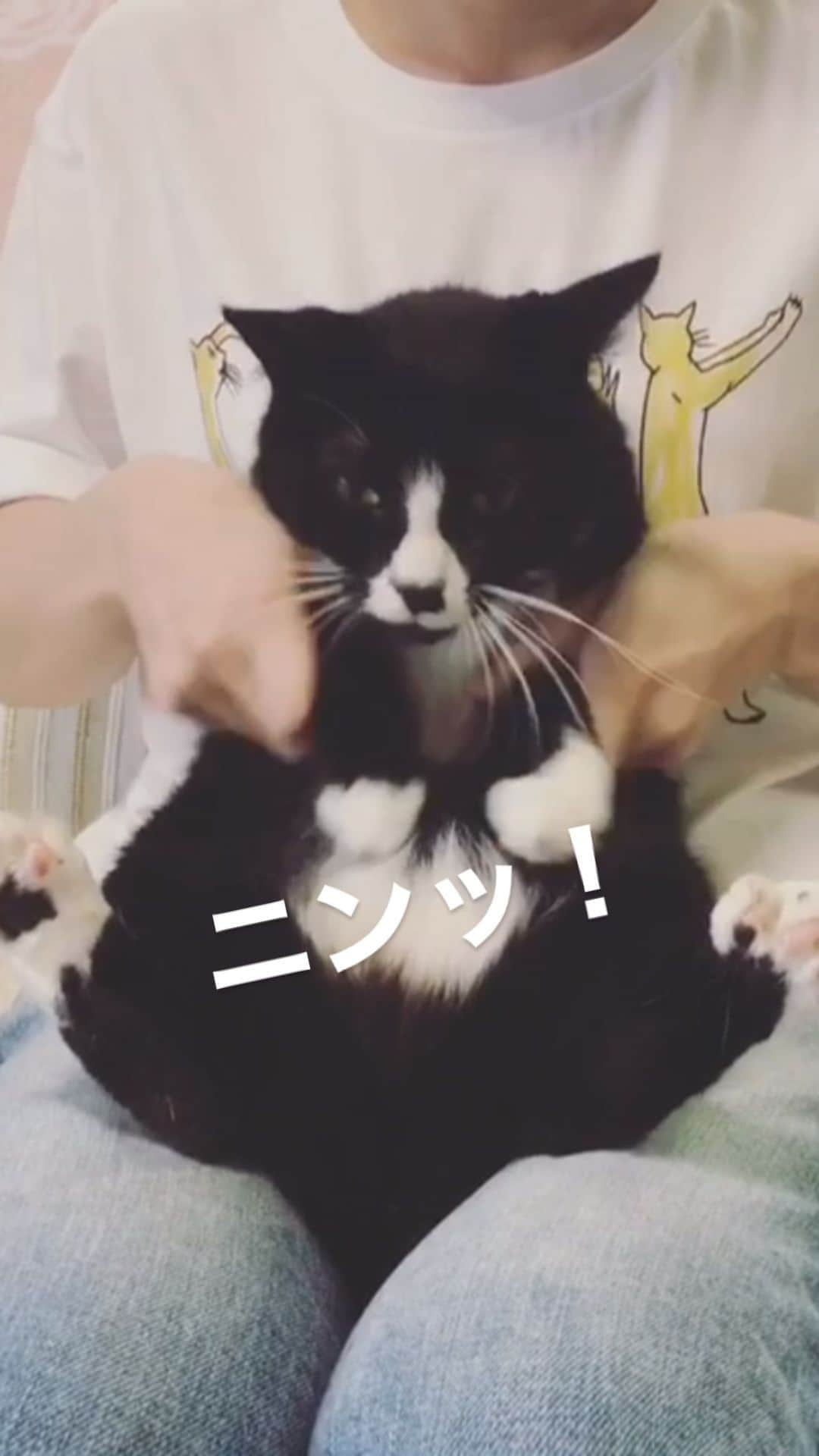 もじゃころのインスタグラム：「TWICE TT ニンッ！  #鼻にんにく黒コロ  #twice #ttダンス #twicett #twicettd  #私がだいぶ力みすぎてるw」