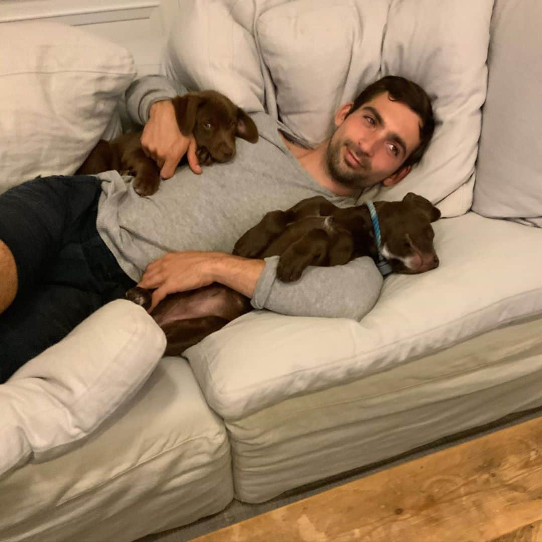ボビー・ブラウンのインスタグラム：「Good night.  Too much cuteness. @5dukes and the pups」