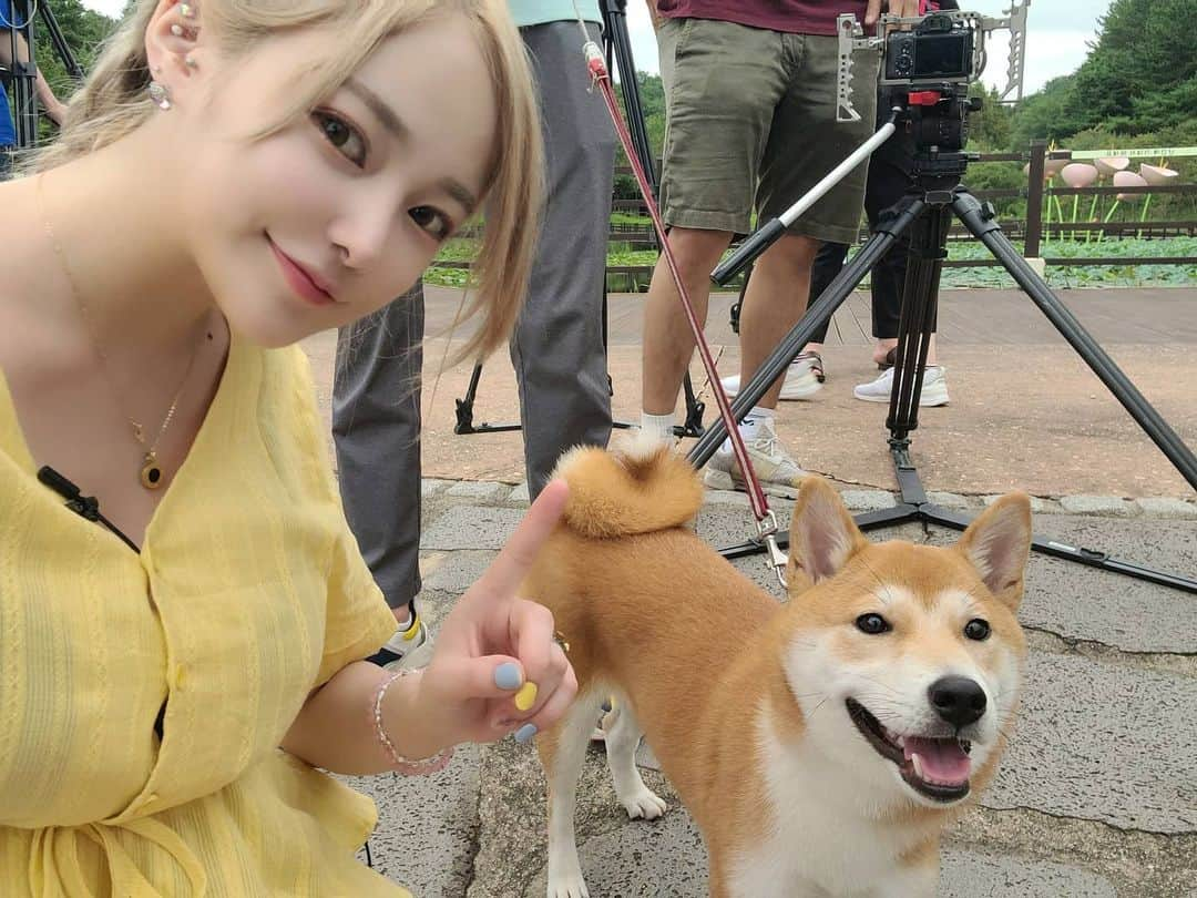 エリナさんのインスタグラム写真 - (エリナInstagram)「♡Shibainu♡ 다니야 촬영 수고했어요🤗 . #selfie #me #instagood #instalike #instaphoto #instafashion #instadaily #shibadog #shibastagram #shibainu #dog#cute#시바견 #시바이누 #멍멍이 #멍스타그램 #강아지 #柴犬」9月4日 11時39分 - erina_hrn