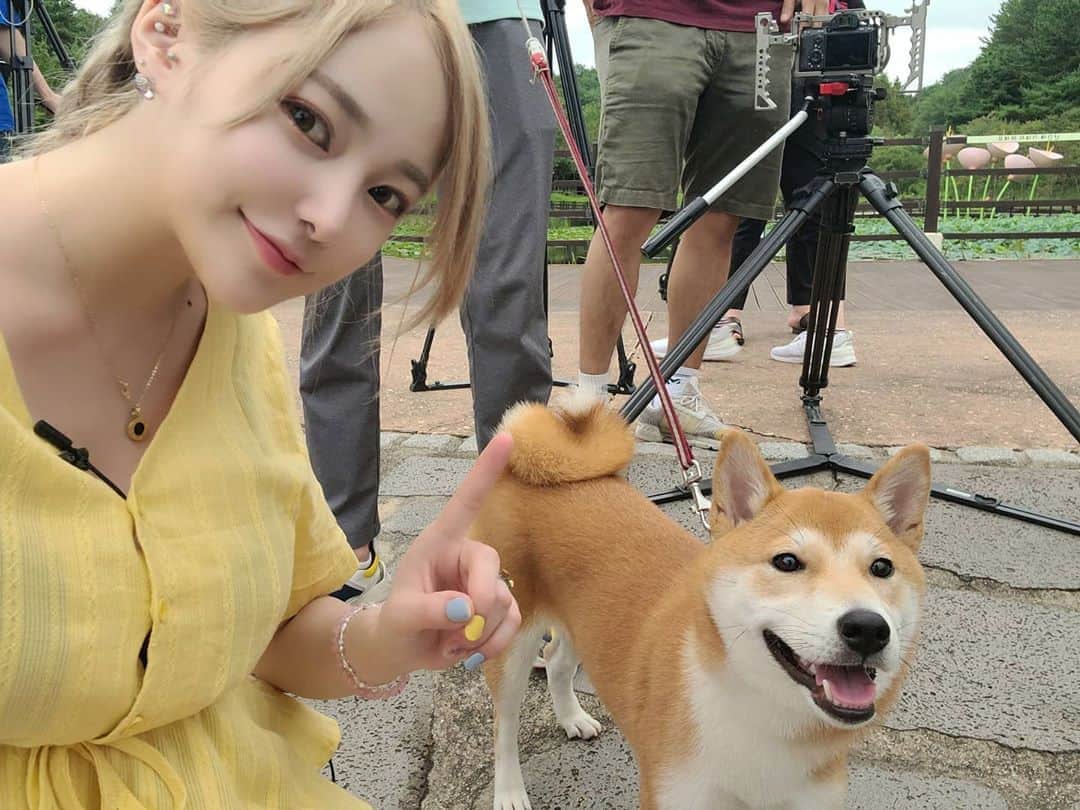 のインスタグラム：「♡Shibainu♡ 다니야 촬영 수고했어요🤗 . #selfie #me #instagood #instalike #instaphoto #instafashion #instadaily #shibadog #shibastagram #shibainu #dog#cute#시바견 #시바이누 #멍멍이 #멍스타그램 #강아지 #柴犬」