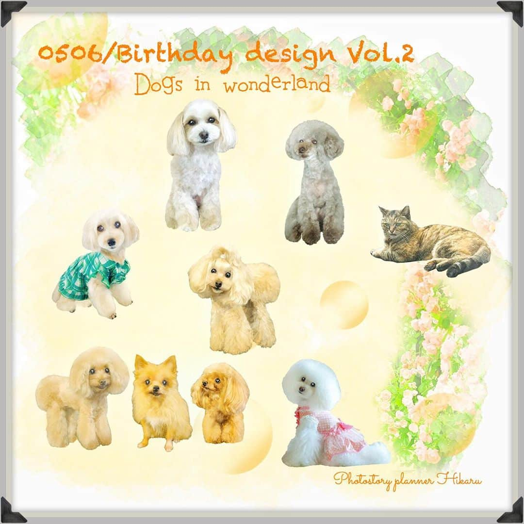 deco_moco_rinさんのインスタグラム写真 - (deco_moco_rinInstagram)「* ❤︎♣︎♦︎♠︎ Dogs in wonderland 0506/Birthday design Vol.2 ❤︎♣︎♦︎♠︎ まとめpicサボってました😅 待ってくださっている方がいらっしゃるかわからないけど途中でやめるわけにもいかないので🤣こちらもボチボチpostします * ✅進捗お知らせ 🌟0506お誕生日🌟 お預かりしている方はお渡し完了済 🌟0708お誕生日🌟 最優先で制作中 🌟夏デザイン🌟 頑張って制作中 🌟お題系🌟 お渡ししていないものは手付かず * #2020bd_wonderland_hikaru」9月4日 11時48分 - deco_moco