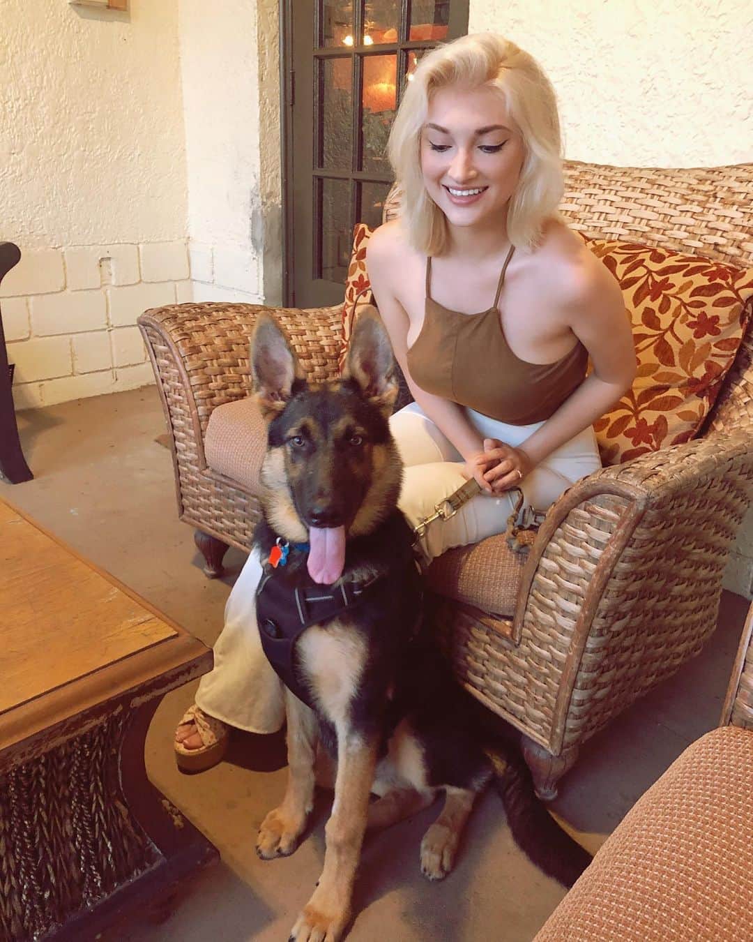 のインスタグラム：「What’s your fur baby’s name? This is @hanx_the_tank and only 6 months 😭 Where did the time go???」