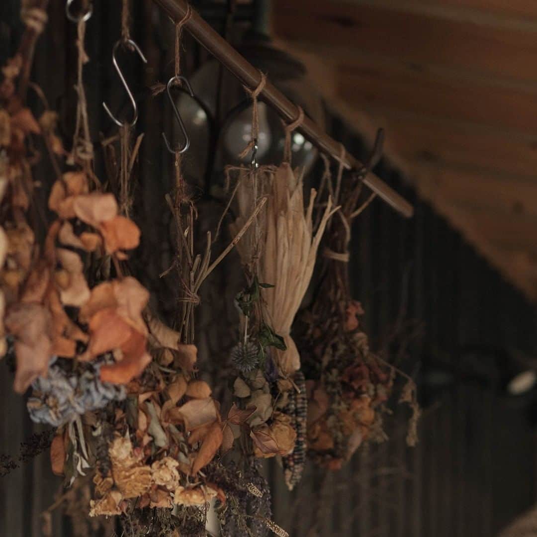 ヒラハルのグルメインスタ