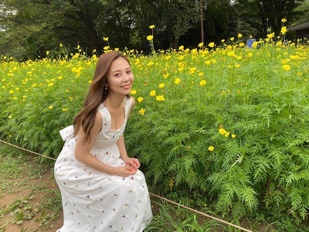 西村季里子のインスタグラム：「・  レモンブライトっていうんだって🌼  一面に広がって咲いてて とっても綺麗だった💐  秋は紅葉も見に行こ〜🍁  #昭和記念公園 #レモンブライト #キバナコスモス #黄色 #自然な笑顔だと思うじゃん？ #すごい中腰きつくて心は泣いてる #プロ #iPhone11pro #写り良き #タピオカカメラ」