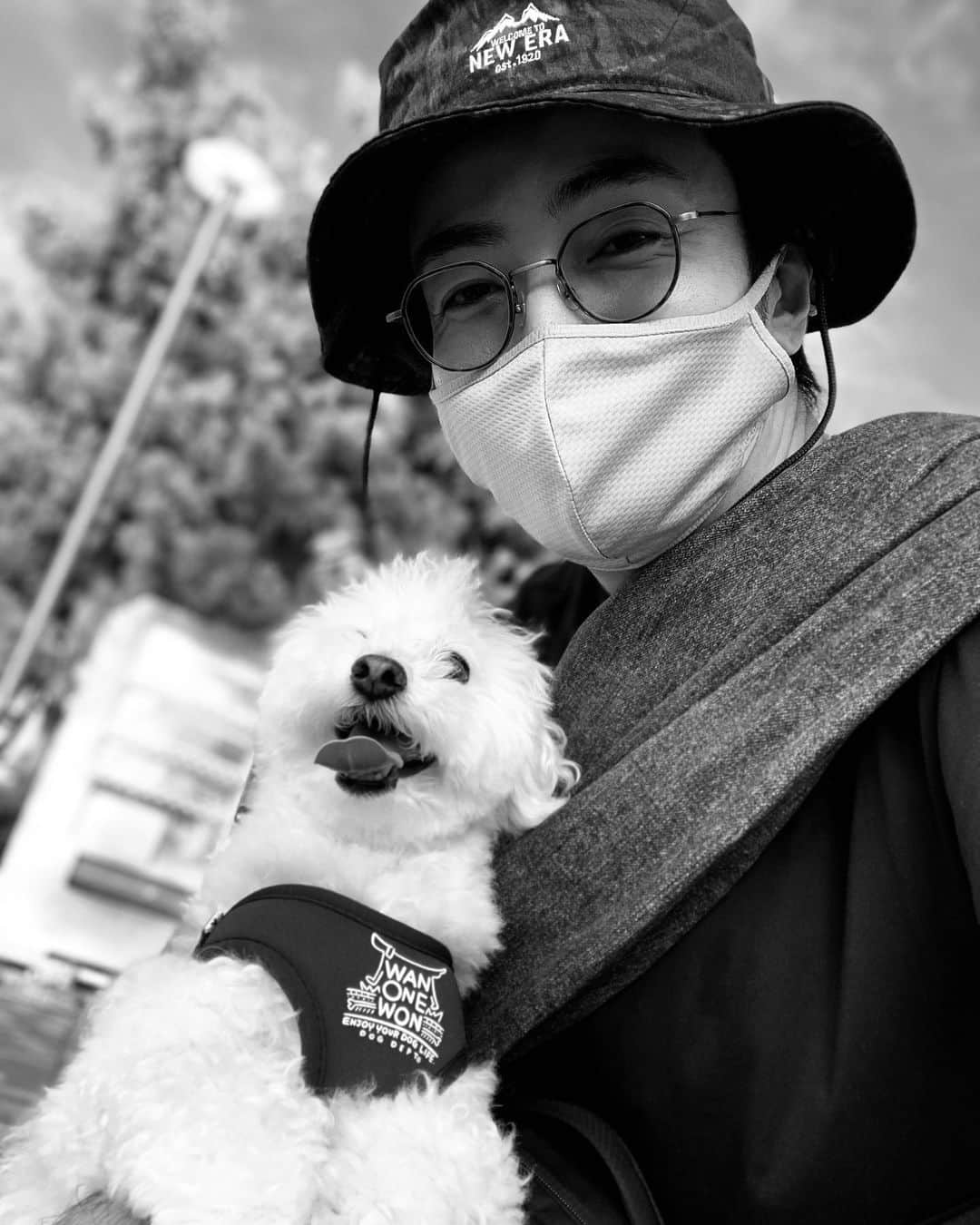 聡太郎さんのインスタグラム写真 - (聡太郎Instagram)「With my buddy. お元気ですか？おもちとぼくはげんきです。  #dog #toypoodle #love #wanonewon #newera #tokyo #japan  #omochi #おもち #sotaro #聡太郎」9月4日 22時16分 - sotarosotaro
