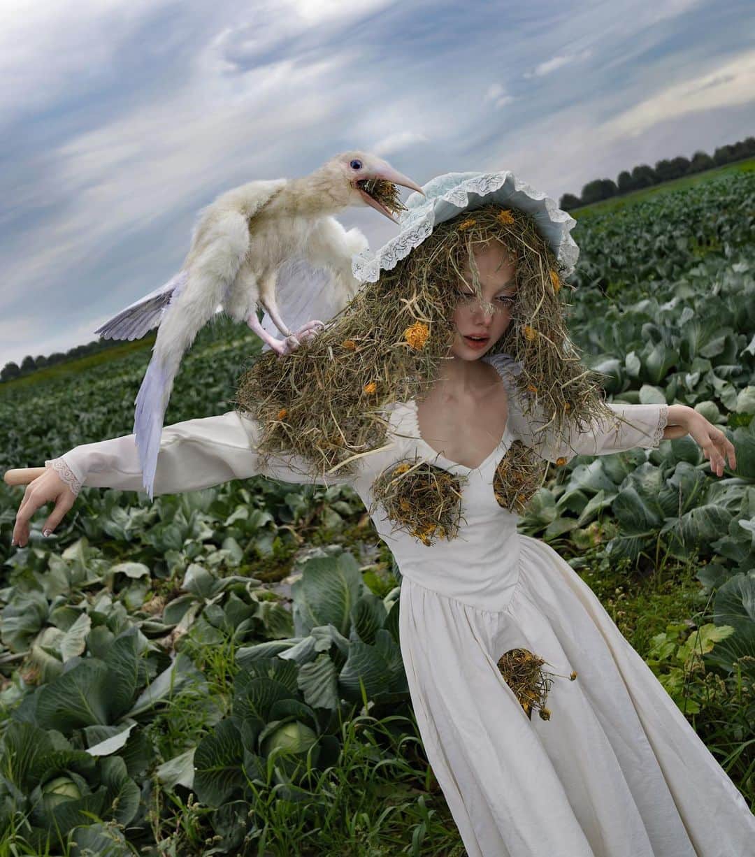 のインスタグラム：「Ms Scarecrow, you look messy.   Thank you for the dress @fashionbrandcompany and for the best crow @monkeybusinesstoys」