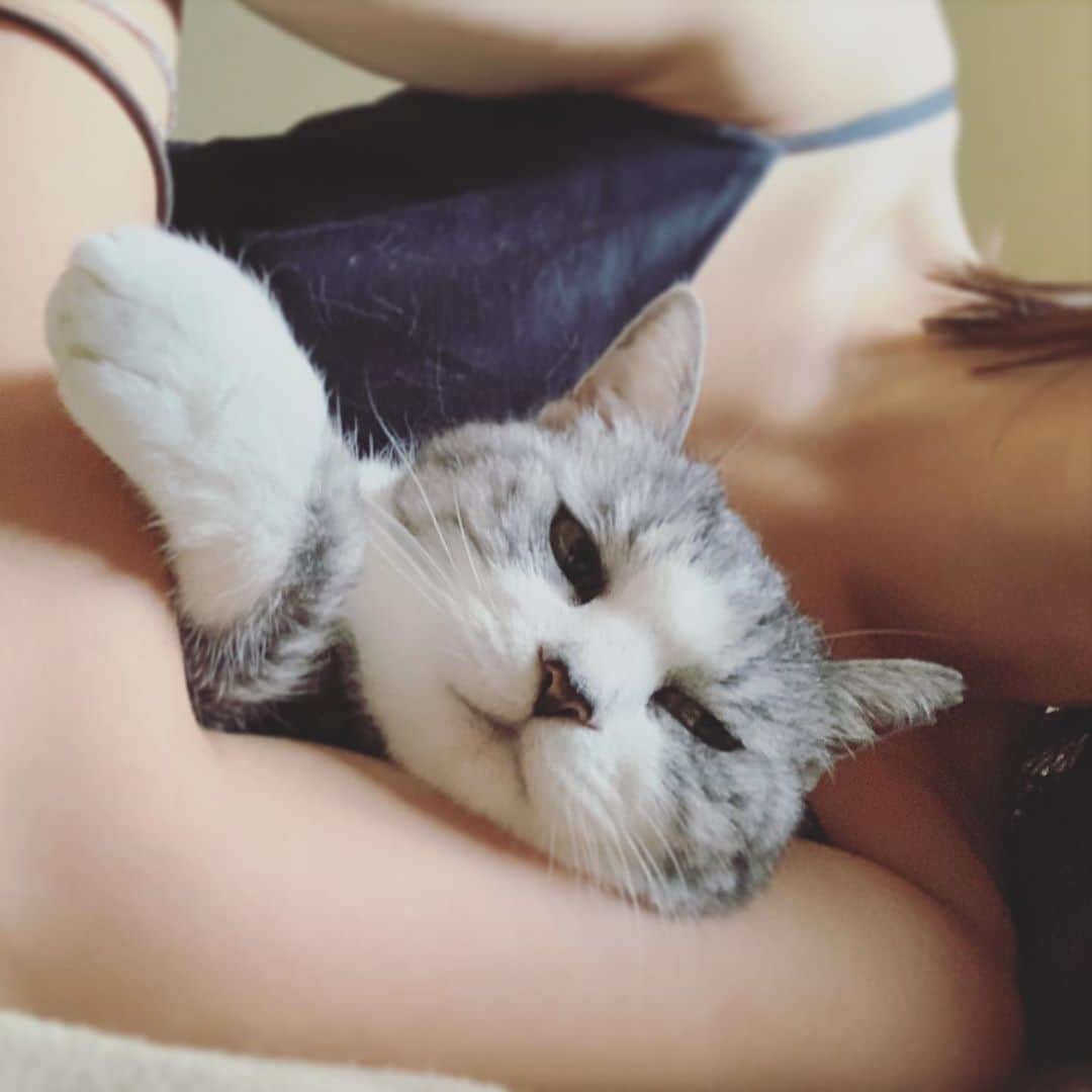 のインスタグラム：「捕獲されて満更でもない婦人 #サバ美 #毛だらけ」