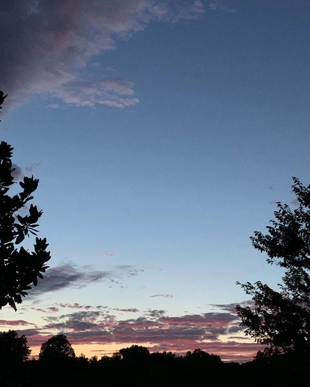 レイチェル・ボランさんのインスタグラム写真 - (レイチェル・ボランInstagram)「Tennessee living. #sunset #dusk #tennessee #follow」9月4日 14時58分 - officialrachelbolan