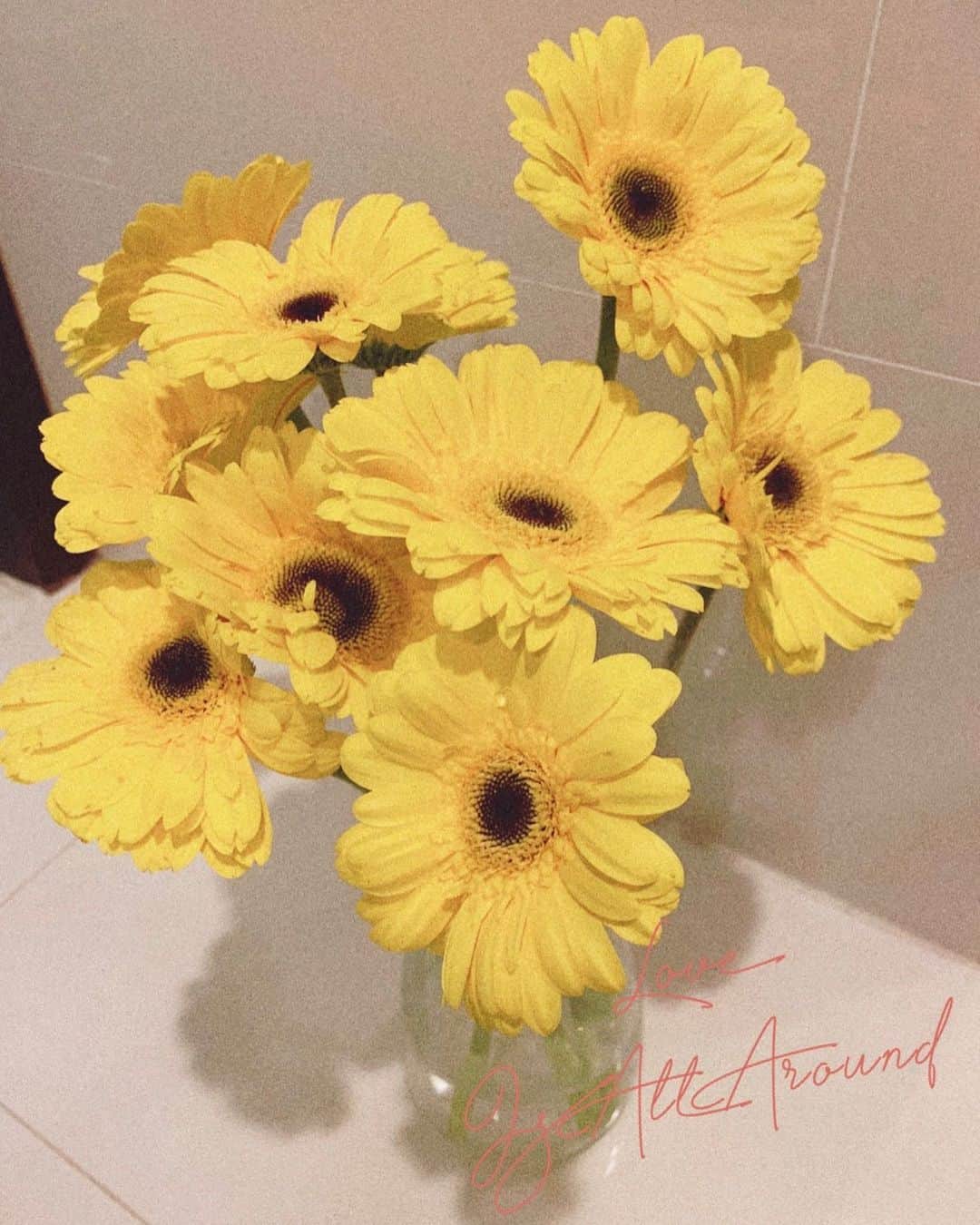 のインスタグラム：「もう”成功”しか残ってないよ🤣💕✨  たくさん頑張ってきたんだから  たくさん経験してきたんだから  たくさん思い通りにいかなかったんだから  もう同じ事で止まったり  手放したりしなくて大丈夫 . . . ”苦しむ”という道は、もうたくさん通ってきたでしょ？ . あと残っているのは .  幸せになる道しか残ってないよ💕  逆にね🤣❣️❣️✨ . . っていう言葉が降ってきた昨日🤣  降ってくるとか怪しすぎだけどwww . . . 人間の素晴らしい所は  上手くいかなかった時でも  嫌な経験をした後も  それでも負けないで . . 幸せになろうと何度もチャレンジするところ。  諦める事だって出来るのに  そうしないで、前を向き続けれるところ✨✨✨ . . 私達、頑張って生きてるなーーーーー❤️✨  と、思いません？😂  かっこよすぎーーーーーーー🤣👏🏻👏🏻👏🏻👏🏻👏🏻💕 . . . この世界はとってもとっても  優しくて、愛で溢れている🌍❤️✨ . . もう苦しむ道、在庫切れです🤣生産間に合いませんw  幸せになるしか、ないです🤣👏🏻❤️✨  諦めて、幸せになってください❣️❣️✨🙏🏻w . . . . . #みんな勇者💕✨✨✨ #地球には勇者が多い #カッコよすぎ🤣❤️ #ご自愛じゃん #素敵ーーーーー😆❤️ #苦しみの道生産間に合いませんw #こんな考え方どぉ？🤣💕 #今週のお花は黄色の #ガーベラちゃん🌼」