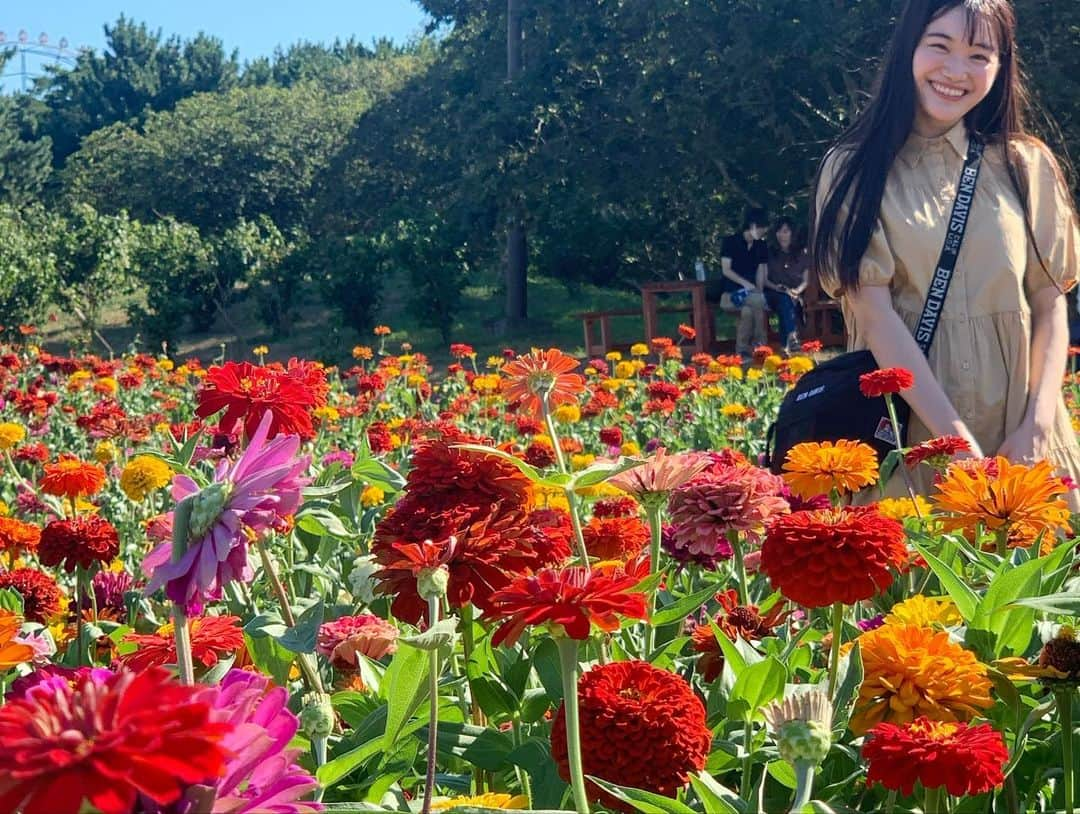 中崎花音さんのインスタグラム写真 - (中崎花音Instagram)「ひまわり以外のお花畑でも📸 ジニアというお花らしいです🌼💗 今年は桜もあまり見れなかったから久しぶりにお花見られて嬉しかった☺️  #お花畑 #ジニア #映え #shooting #ポートレート #portrait #zara #コーデ #のんコーデ #ワンピース #instagood #instalike #instagram #flowers #リフレッシュ」9月4日 15時08分 - cq_kanon_n