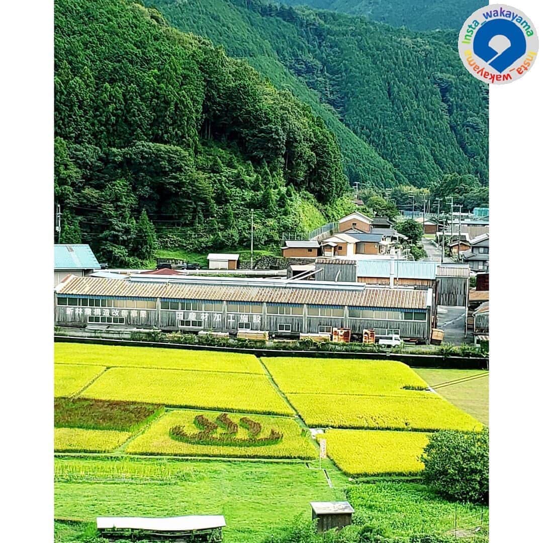 和歌山県のインスタグラム
