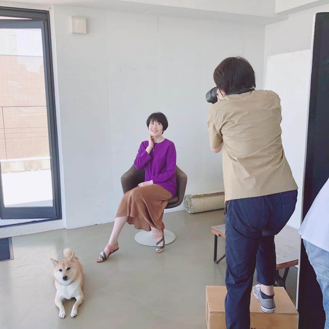 小林ひろ美のインスタグラム：「今日はMAQUIAの撮影でした。 ふわっふわのゲスト、つん君のお陰でスタジオの雰囲気も一層ほっこり😊 . #マキア #撮影 #柴犬 #癒しわんこ  #動物セラピー」