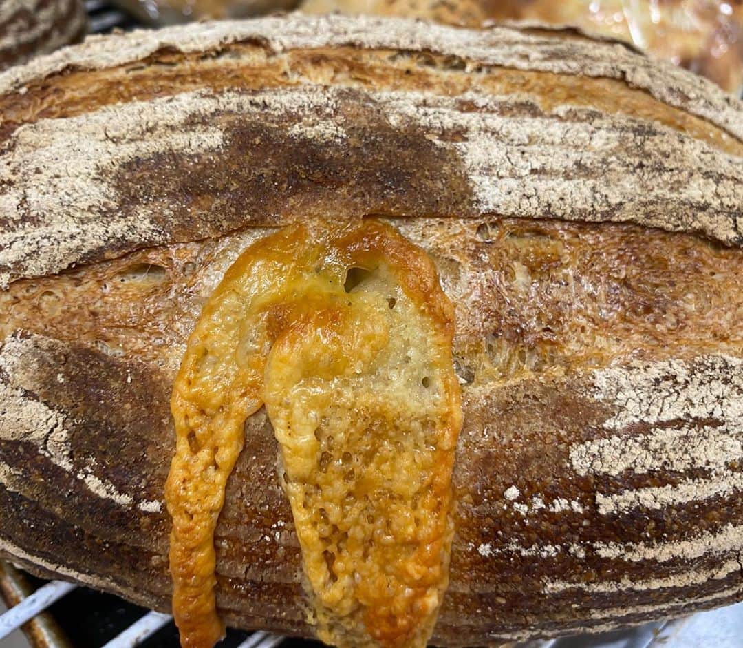 魔女菅原のグルメインスタ