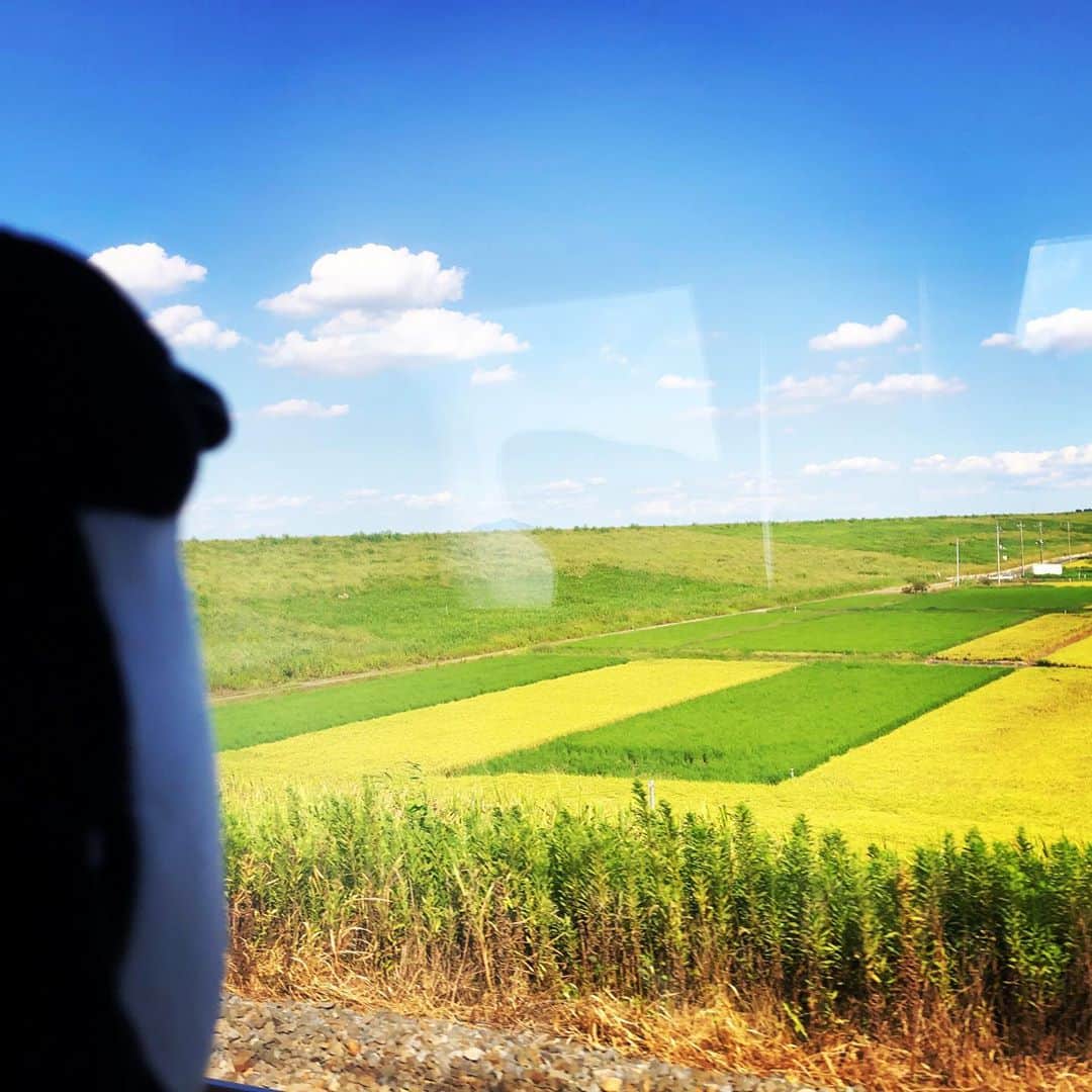 がっちゃんさんのインスタグラム写真 - (がっちゃんInstagram)「東武線スペーシアで鉄分補給✨ 缶つま初めて食べてみたけど美味しかった💕  #japantrain #train #japantrip #trainphotography #trainspotting #trainstagram #東武線 #スペーシア #鉄道 #小学生 #小学生男子 #がっちゃん #がっちゃんねる」9月4日 16時41分 - gacchannel