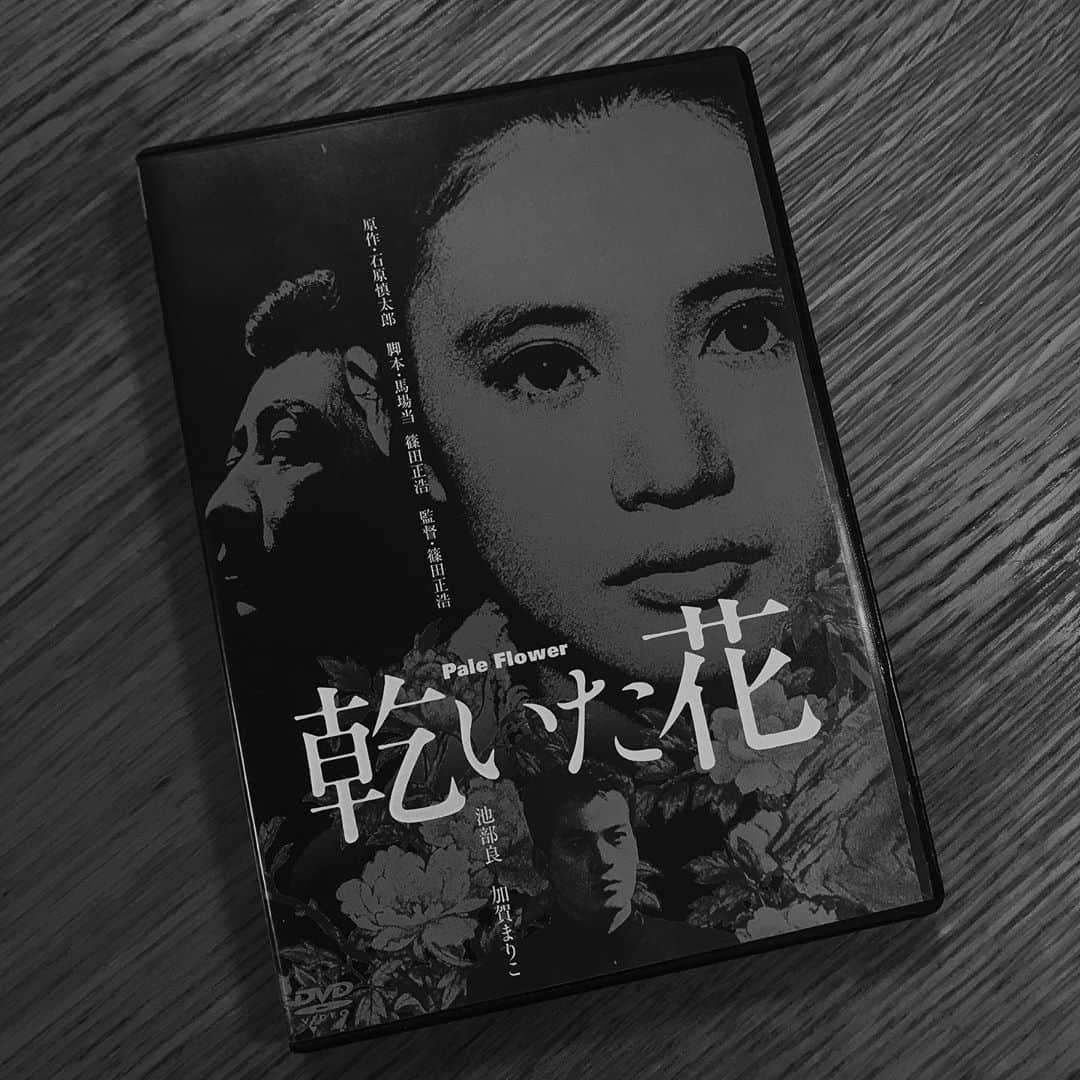 氏家恵のインスタグラム：「ちょ〜おもろかったよ！ 最高だったわぁ。 大興奮 @bystander411  さんありがとう！ #映画 #加賀まりこ #池部良 #篠田正浩 #乾いた花」