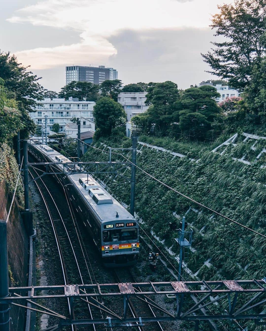 東急電鉄さんのインスタグラム写真 - (東急電鉄Instagram)「. 東急電車と風景が綺麗に見えるスポットのご紹介。 今回は東急大井町線の上野毛駅から徒歩5分にある五島美術館脇の陸橋です。この陸橋の下には東急大井町線の線路があり、上野毛駅と二子玉川駅の間を走る電車。 また、季節によっては二子玉川方面に沈む綺麗な夕日を一緒に撮影することができます。 ちなみに、五島美術館は東急グループを作り上げた東京急行電鉄株式会社の元会長 五島慶太氏が構想したものです。あわせて立ち寄ってみてはいかがでしょうか。 （東急大井町線　上野毛駅） . Photo-worthy spots where the Tokyu line trains run through gorgeous backdrops. Today’s spot is the Gotoh Museum crossing bridge, just a 5 min. walk from Kaminoge Station on the Tokyu Oimachi Line. The train tracks sit just under the bridge, connecting trains going between Kaminoge and Futako-Tamagawa Stations. Depending on the season, you may even catch a glimpse of the gorgeous evening sun as it sets behind the tracks leading to Futako-Tamagawa. Here’s a fun fact: the Gotoh Museum was made by Gotoh Keita, the late chairman of Tokyu Corporation. If you’re in the area, it’s worth swinging by for a visit. (Kaminoge Station  Tokyu Oimachi Line) . #上野毛 #kaminoge #五島美術館 #tokyo #東京 #train_vision #japantrain #japanesetrain #電車 #鉄道 #鉄道写真 #鉄道好き #鉄道ファン #鉄道のある風景 #鉄道好きな人と繋がりたい #撮り鉄 #railways_of_our_world #railwayphotography #trains_worldwide #railfan #japantrip #discovertokyo #visitjapanjp #tokyu #東急 #東急沿線 #일본여행 #東京自由行 #東京景點 #hellofrom」9月4日 17時03分 - tokyu_railways