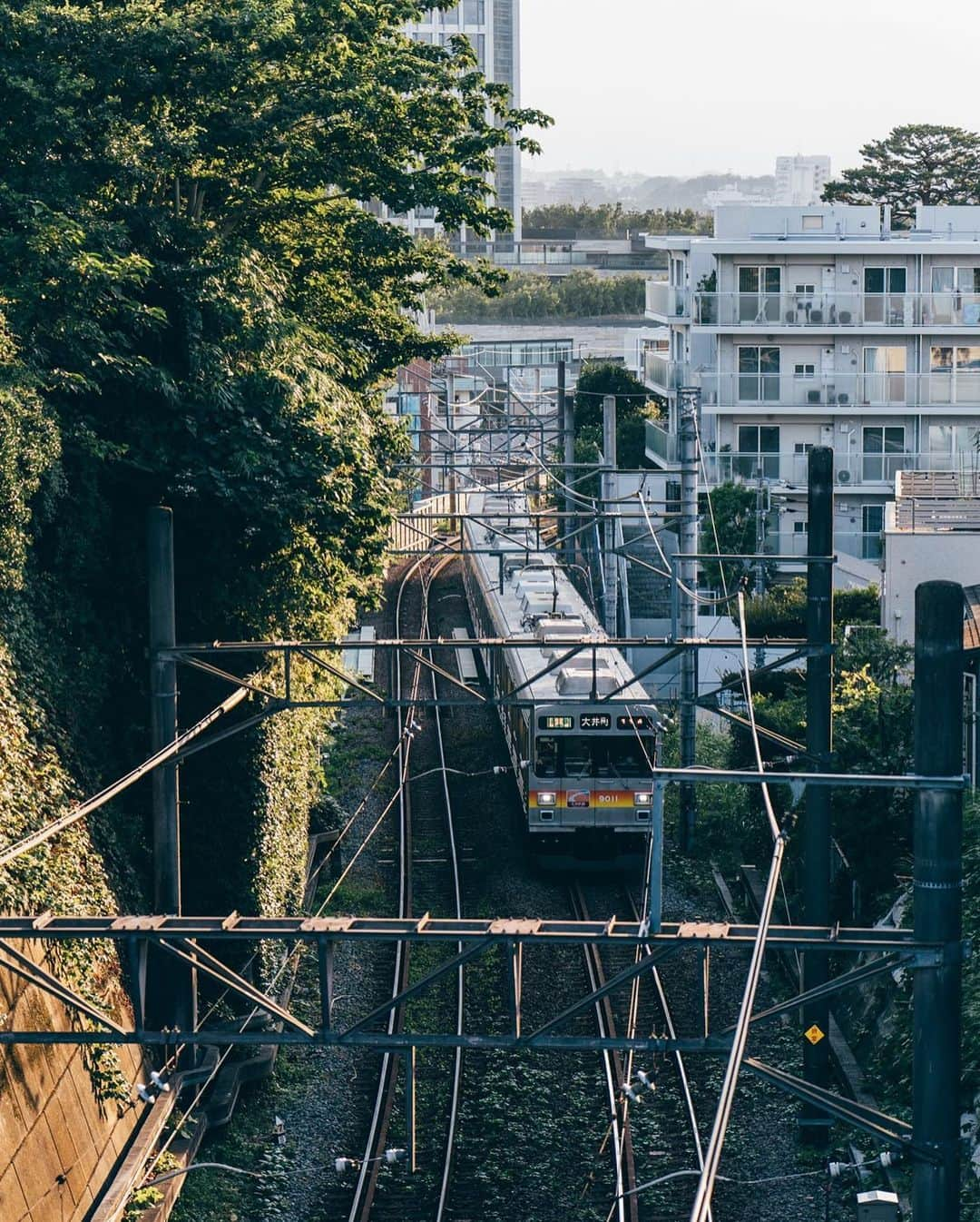 東急電鉄さんのインスタグラム写真 - (東急電鉄Instagram)「. 東急電車と風景が綺麗に見えるスポットのご紹介。 今回は東急大井町線の上野毛駅から徒歩5分にある五島美術館脇の陸橋です。この陸橋の下には東急大井町線の線路があり、上野毛駅と二子玉川駅の間を走る電車。 また、季節によっては二子玉川方面に沈む綺麗な夕日を一緒に撮影することができます。 ちなみに、五島美術館は東急グループを作り上げた東京急行電鉄株式会社の元会長 五島慶太氏が構想したものです。あわせて立ち寄ってみてはいかがでしょうか。 （東急大井町線　上野毛駅） . Photo-worthy spots where the Tokyu line trains run through gorgeous backdrops. Today’s spot is the Gotoh Museum crossing bridge, just a 5 min. walk from Kaminoge Station on the Tokyu Oimachi Line. The train tracks sit just under the bridge, connecting trains going between Kaminoge and Futako-Tamagawa Stations. Depending on the season, you may even catch a glimpse of the gorgeous evening sun as it sets behind the tracks leading to Futako-Tamagawa. Here’s a fun fact: the Gotoh Museum was made by Gotoh Keita, the late chairman of Tokyu Corporation. If you’re in the area, it’s worth swinging by for a visit. (Kaminoge Station  Tokyu Oimachi Line) . #上野毛 #kaminoge #五島美術館 #tokyo #東京 #train_vision #japantrain #japanesetrain #電車 #鉄道 #鉄道写真 #鉄道好き #鉄道ファン #鉄道のある風景 #鉄道好きな人と繋がりたい #撮り鉄 #railways_of_our_world #railwayphotography #trains_worldwide #railfan #japantrip #discovertokyo #visitjapanjp #tokyu #東急 #東急沿線 #일본여행 #東京自由行 #東京景點 #hellofrom」9月4日 17時03分 - tokyu_railways