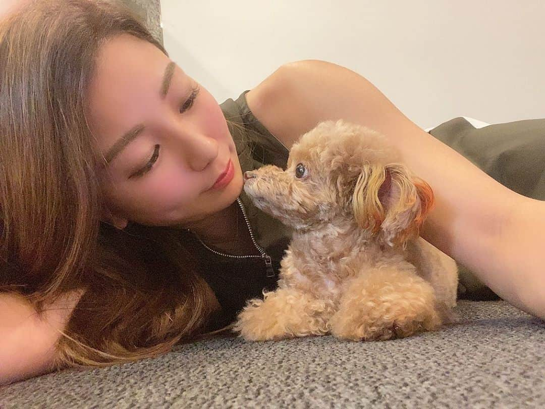 青木愛さんのインスタグラム写真 - (青木愛Instagram)「♡9月4日♡﻿ ﻿ こむぎ8歳になりました🎂🐶🍼﻿ ﻿ 相変わらずふたりだとちゃんと撮らせてくれないね😂笑﻿ ﻿ いつも癒しをありがとう🤍﻿ 大好き♥️﻿ ﻿ #トイプードル﻿ #トイプー」9月4日 17時09分 - aiaoki_official