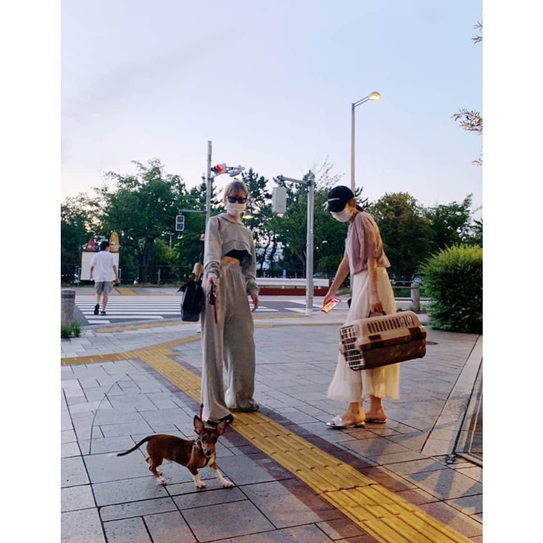 中川ジュリアのインスタグラム：「なぎさと犬とお台場行った🐕　@_juemi_ のセットアップ可愛い」