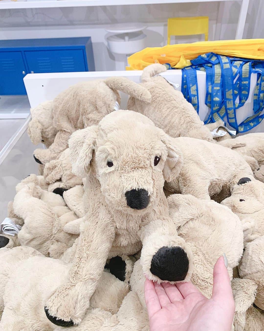 廣川奈々聖さんのインスタグラム写真 - (廣川奈々聖Instagram)「ぬいぐるみどれも可愛すぎた🧸♡🍇 ﻿ ﻿ 欲しい家具?に出会ったから﻿ 時が来たらまた買いに来よう〜 ！﻿ ﻿ ﻿ ﻿ ﻿犬は お手させてみた、笑  ﻿ ﻿ ﻿ #ikea原宿#ikeafood#原宿店#原宿デート#ぬいぐるみ」9月4日 17時50分 - nanaseven7_u_u