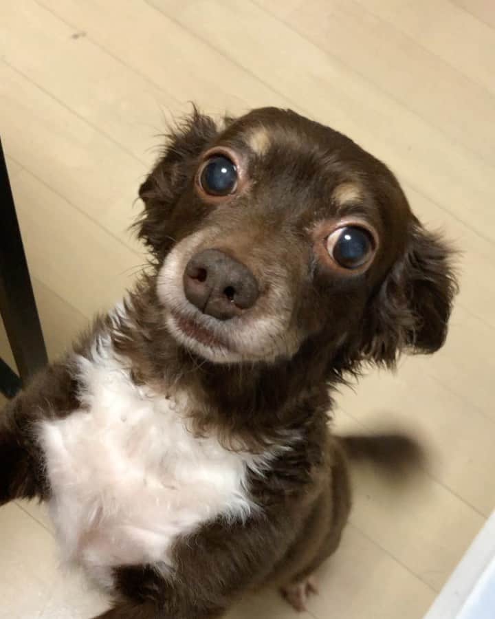 山口祥行のインスタグラム：「ご機嫌たなー😆 #ダンベル」