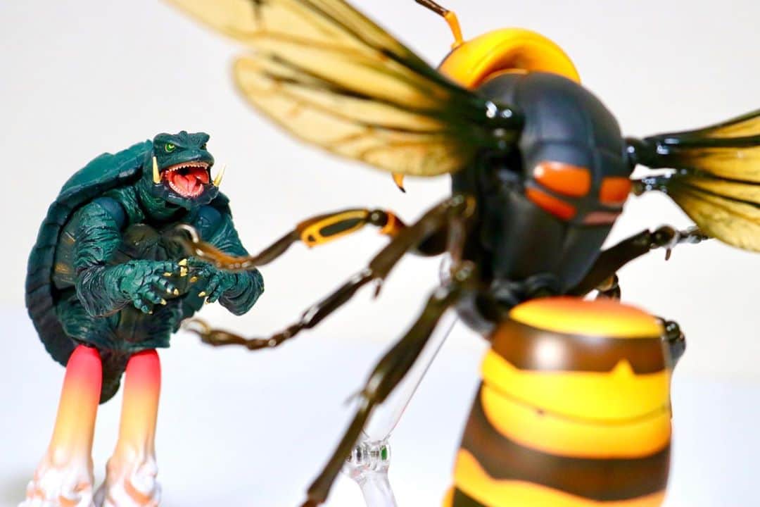 ぎわちん。さんのインスタグラム写真 - (ぎわちん。Instagram)「ガメラ大怪獣空中決戦🐝 #ガメラ #gamera #gianthornet  #ハチ #オオスズメバチ #スズメバチ #怪獣 #Monster #フィギュア #figure #bee」9月4日 18時01分 - giwa_chin