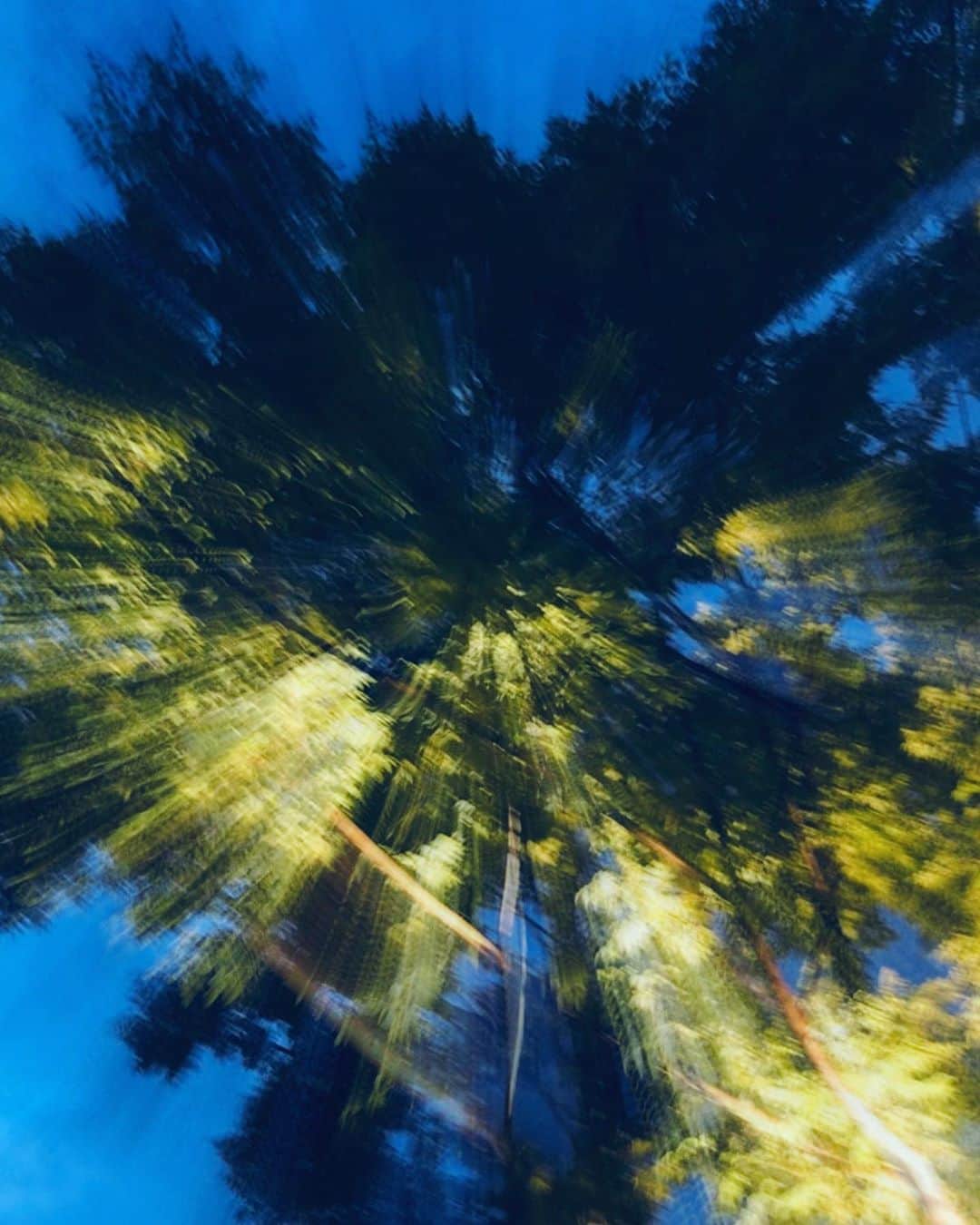 美沙玲奈のインスタグラム：「花火みたいに撮れた🎇 来年は見れるといいな🥺  #強め #花火 #みたいな #木 #写真 #下からのアングル」