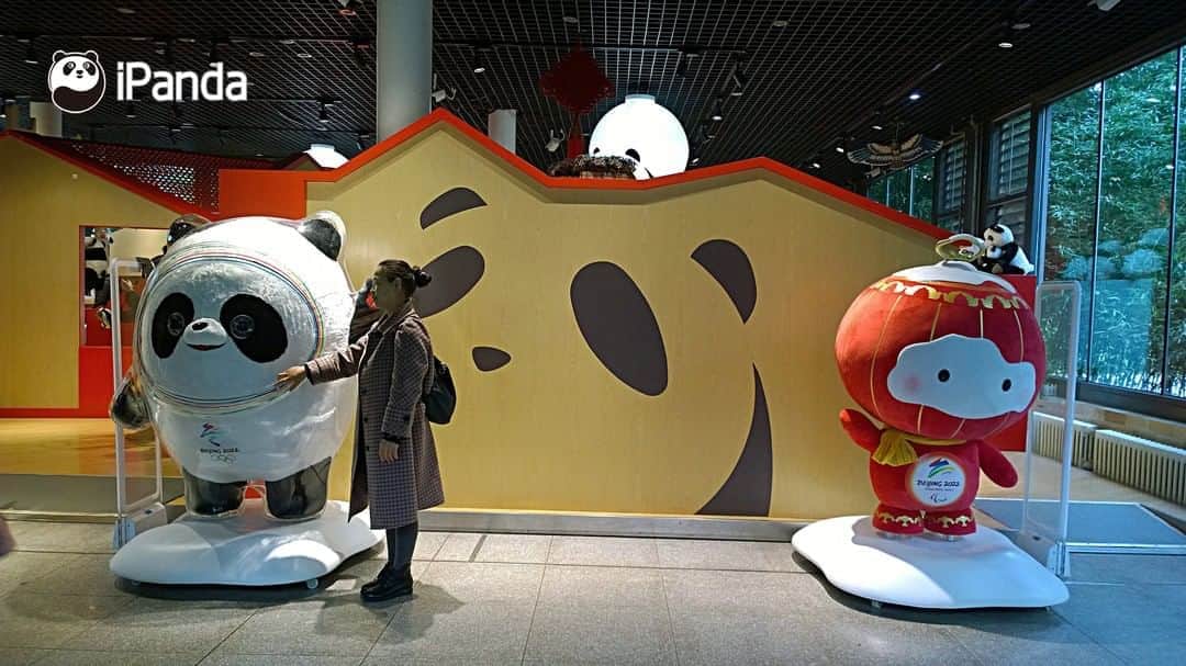 iPandaさんのインスタグラム写真 - (iPandaInstagram)「Do you know what’s the mascot ...