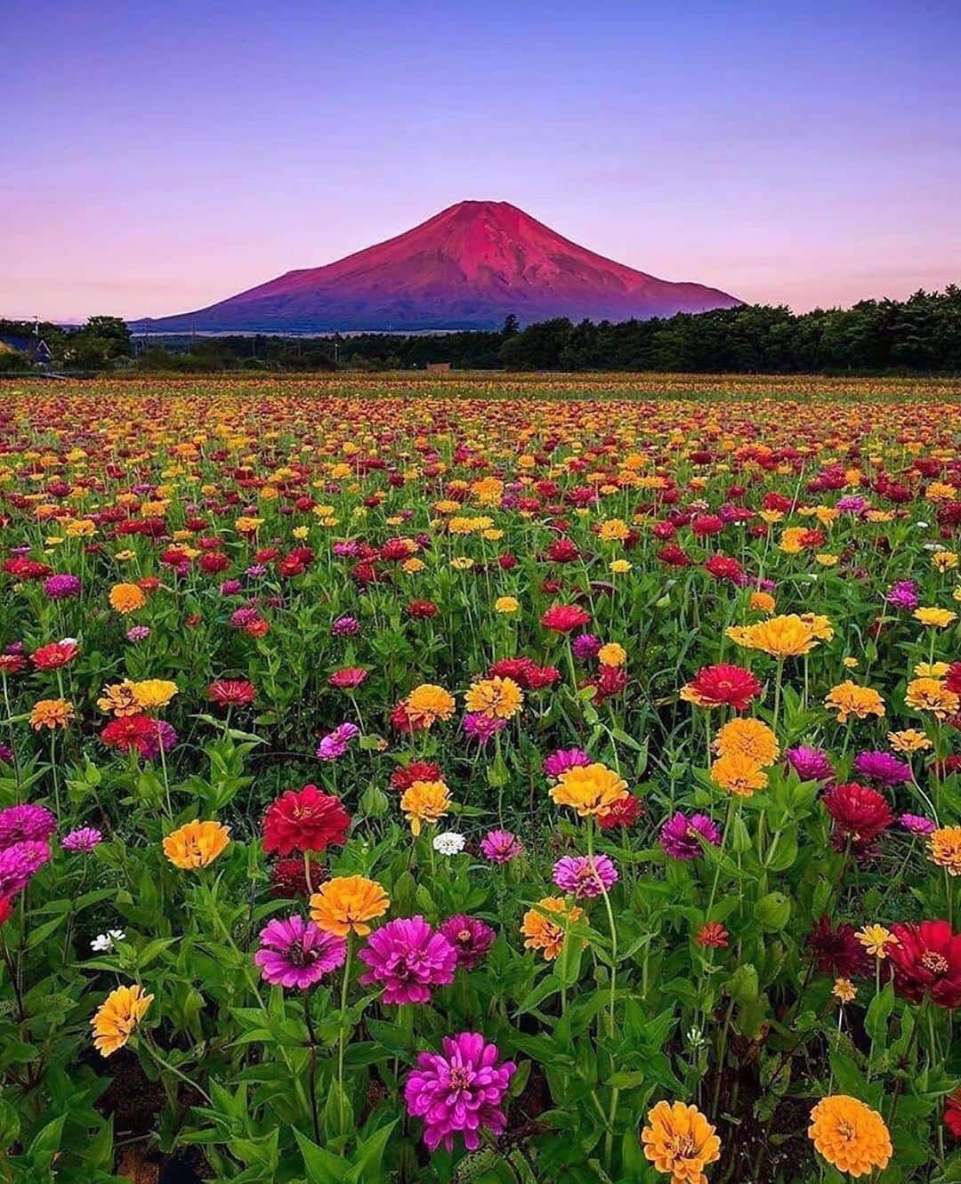 Awesome Wonderful Natureのインスタグラム：「Japan Photos by @ohmygod1012」