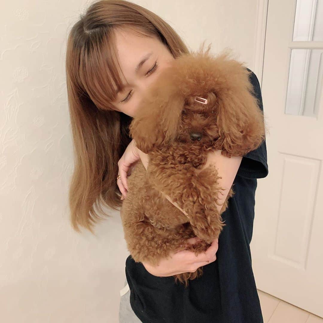 町田亜里香のインスタグラム：「アンジェぼさぼさ過ぎて顔見えない笑 なんでこうなるんだろう。笑 . . 今日は、 車買いました🚘 ハンコ押してきました𓂂𑀀 納車は2ヶ月以上かかるみたい🥺。 ここ数日悩んでて 知り合いやフォローしてくれてる方が 色々教えてくれたりして😂 凄くて助かりました（ ; ; ）！ ありがとうございました♡ 無事、もうこっちにしよ！𖧷って決めて 買うことができました😊 . . 早く新しい車🚗乗れますように⸜❤︎⸝ . . #mama #28歳 #poodle  . . アンジェ太ったの気づきました？笑 . .」