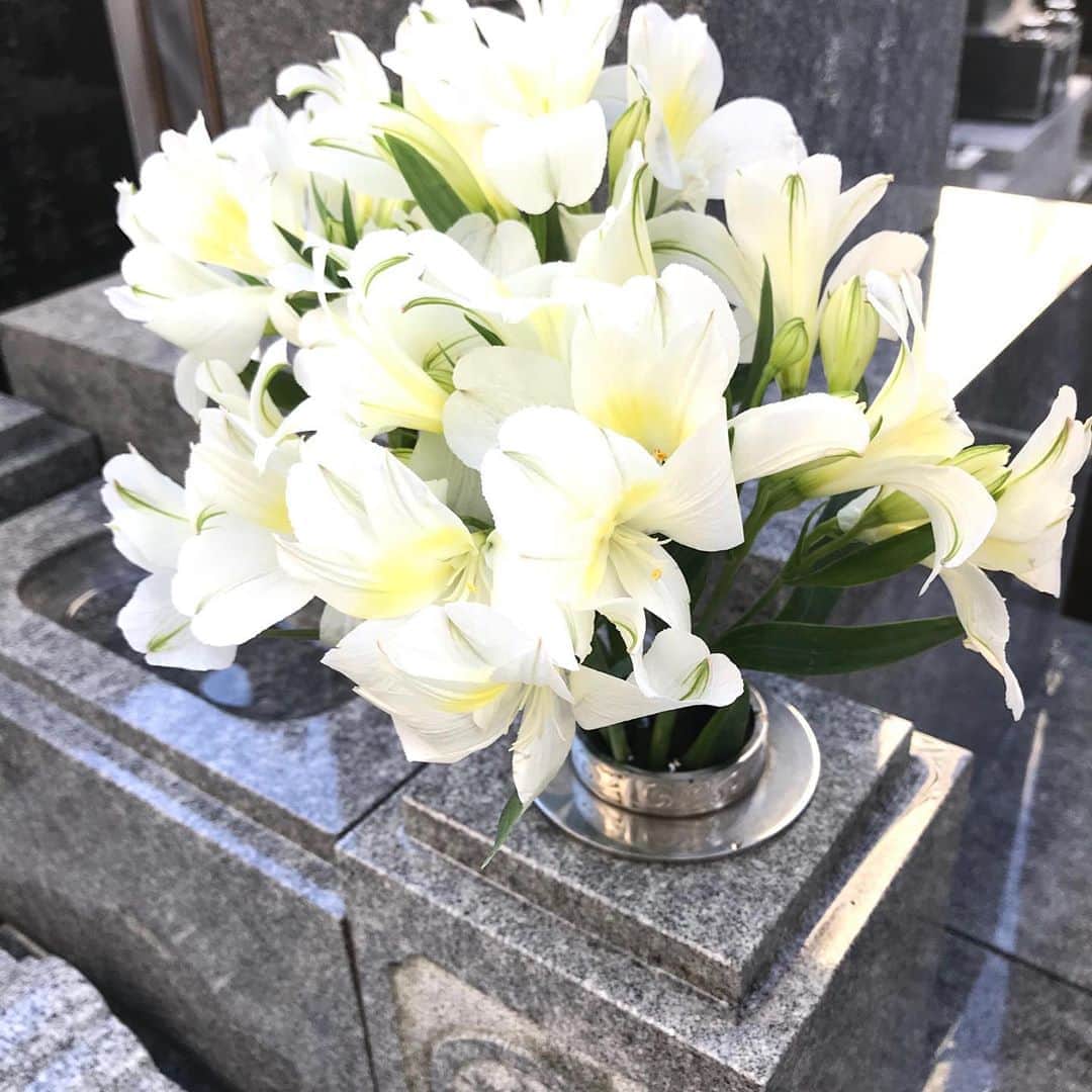 土屋眞弓のインスタグラム：「今日は大好きな父の命日 今まで生きていて一番悲しい日 でした 父が残してくれた沢山の愛があるから今の私が頑張れるのだと思います 今夜は一人で静かに父との思い出と過ごしましょう❣️」