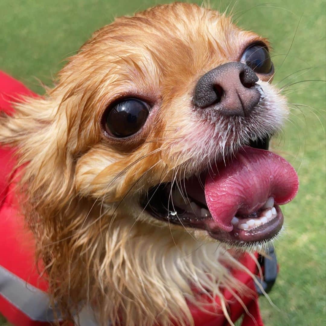 橘りあのグルメインスタ